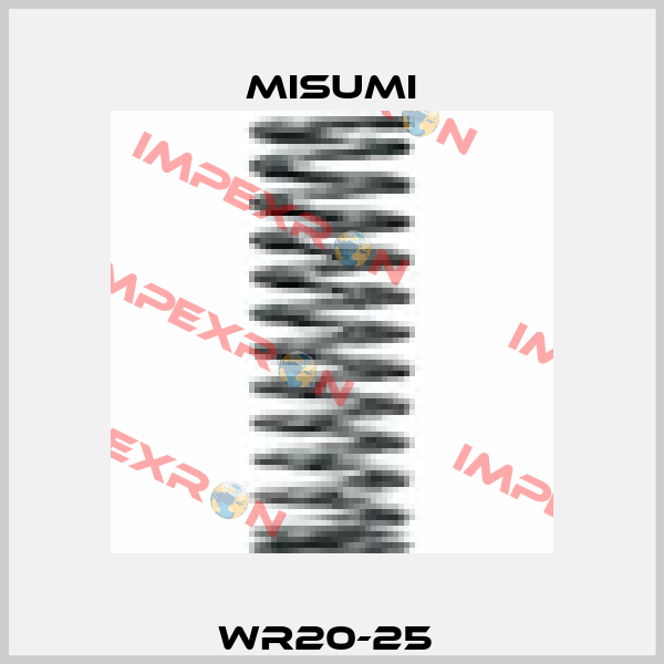 WR20-25  Misumi