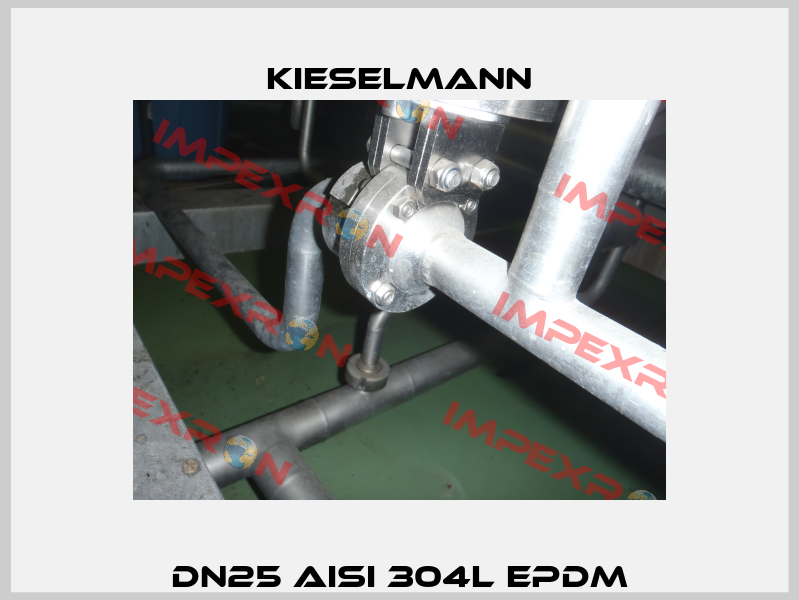 DN25 AISI 304L EPDM Kieselmann