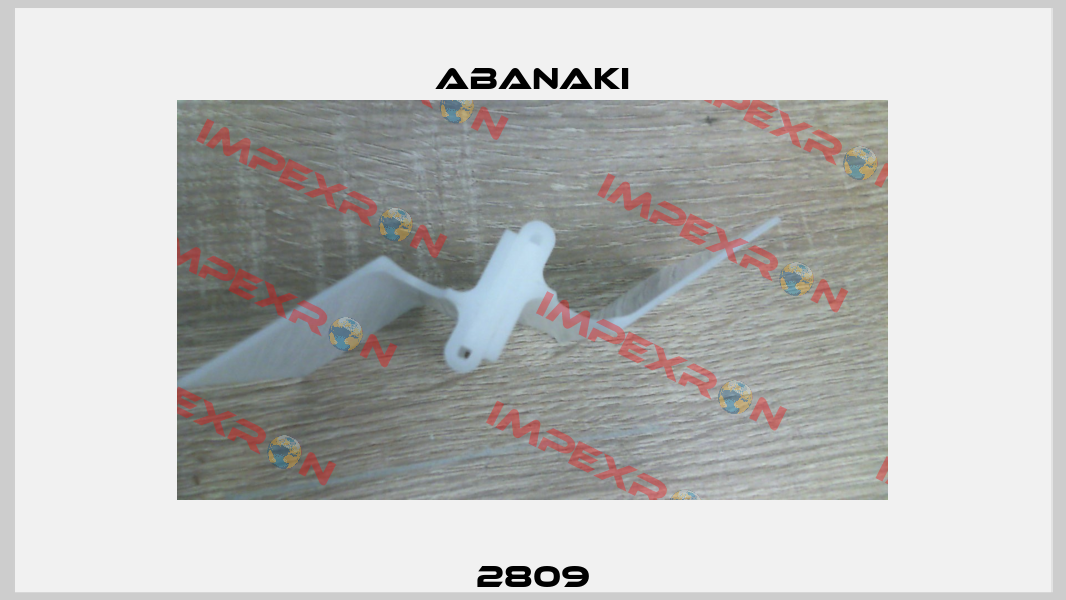 2809 Abanaki