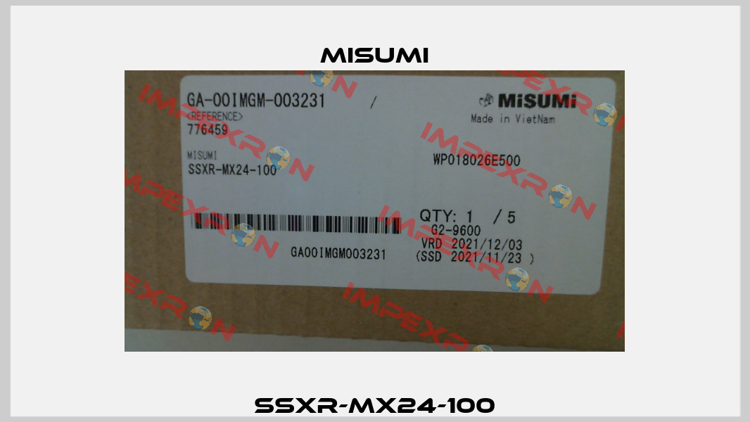 SSXR-MX24-100 Misumi
